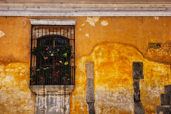 Window in Ochre, Antigua